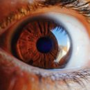 8 hábitos importantes para prevenir doenças na visão